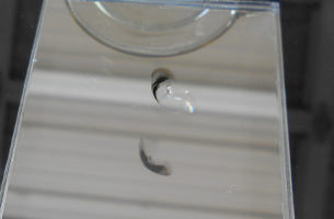 ウィンドリペア修理可能